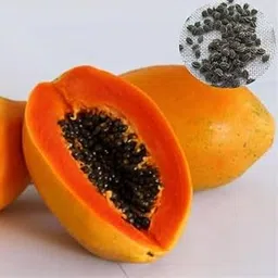 papaya seeds for planting Pack Of 950-image-97