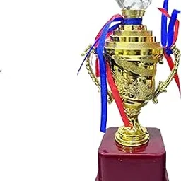 8.5-Inch Gold Plastic Trophy - Large Award Cup for Rewards F-357-picture-18