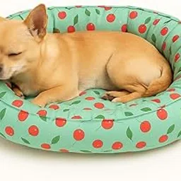 PawCloud Ultra Soft Dog Donut Bed | Cozy Round Pet Bed with Sky Blue Base & Red Cherry Print | Lightweight, Machine Washable, Comfortable Polyester Cotton Bed for Puppy, Small & Medium Breeds-picture-26