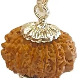 12 Mukhi Rudraksha/Twelve Faced A1 Quality Nepali by Lab Certified Oval Shape 12 मुखी रुद्राक्ष ओरिजनल 22mm Brawn Barah Mukhi Rudraksha Blessed By Lord Shiva for Jaap Puja By Astro Cart-picture-47