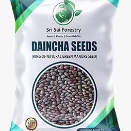 Daincha Seeds 1KG - Natural Green Manure Seed (Dhaincha | Prickly Sesban | Sesbania Bispinosa | Malaimurungai Seeds) for Farming-image-14