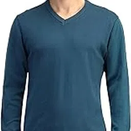 arrow Mens Green Solid V-Neck Long Sleeve Casual Cotton Regular Fit Sweater-picture-56