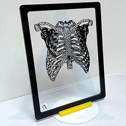 Anatomical Rib cage Laser-Cut Acrylic Artwork | Anatomical Structures | Doctor, Medical School Graduation | Therapist Art-picture-14