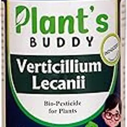 Verticillium Lecanii Liquid (2 * 10^9 CFU/ml) - Effective Against Sucking Pests - Bio-Insecticide for All Indoor and Outdoor Plants - 500 ml-picture-58