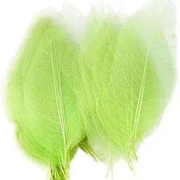 Enakshi® 4x50Pcs Natural Catbrier Leaf Leaves Card Scrapbook - Green|Crafts | Home Arts & Crafts | Floral Crafts | Dried Botanicals & Potpourri | Dried Flowers image 1