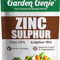 Garden Genie Zinc Sulphate (Zinc 33%, Sulphur 15%) Fertilizer for Plants 200g | Zinc Sulphur Powder Contains Micronutrients Promotes Healthy Growth of All Home Garden Plants-image-41
