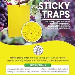 AHT-Yellow Sticky Trap Pack of 10-picture-43