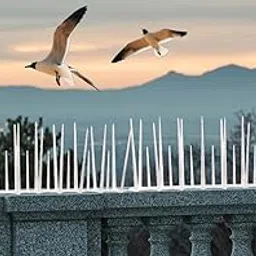 PlastKart (Pack of 5) Bird Spikes for Pigeon Control | Anti Bird & Pigeon Spikes for Balcony, AC Outdoor Unit, Plastic Polycarbonate UV Resistant Bird Deterrent Spikes-picture-27
