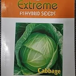 EXTREME SEEDS Fresh Organic Cauliflower Head – Non-GMO, Whole, Farm Grown, Crisp & Tender, Ideal for Cooking, Roasting, Keto & Paleo Diets in Fiber & Vitamins – Vegan, Gluten-Free, USA Grown Produce-picture-45