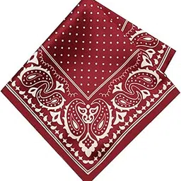 leonardi Men's Printed Pocket Square's-picture-34