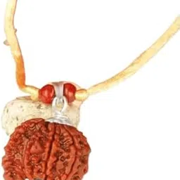 uspto A1 Quality Real Savar Rudraksha Original Certified By Authentic Lab Naturally Joint Two 2 Beautiful Nepal Bead Blessed By Lord Shiv Ji Swar Sawar Rudraksha Excellent Deep Brown सर्व रुद्राक्ष-picture-11