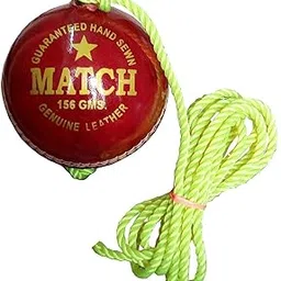 New Trend Leather Cricket Hanging Ball for Shot Practice (Leather, Red)-picture-53