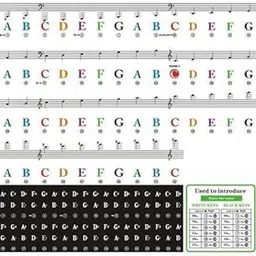 STYLEHEAVEN 2xPiano Sticker Music Note Removable for 88/61/ 54/49/37 Key Enthusiasts-picture-25