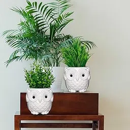 Handybee Plastic Potted Artificial Plants in Decorative Owl Planter, 2 Pack Green Small Potted Faux Plants Indoor for Home Office Bathroom Farmhouse (Set of 2)-picture-29