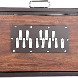 Shreyas Shruti Box Brand By Chopra Musical Shruti Box Large 13X12X3 Inches Sur Peti Surpeti, With Bag, Natural Color, Musical Instrument Indian-picture-29