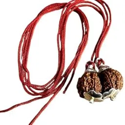 Gori Shankar Rudraksha Original Certified Natural Gaurishankar Rudraksha Pendant नेपाली गौरी शंकर रुद्राक्ष Shiv Parvati Rudraksha Gauri Shankar Rudraksh Nepali Beads For Astrology-image-4