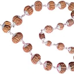 rare gems gallery AAA+++ Rated Ek Se Ikkis Mukhi Rudraksha Mala Original Certified By Lab With Gauri Shankar & Ganesh Rudraksh इंद्रा इन्द्राक्षी माला 1 से 21 मुखी Ruthratcham Malai For Men Women-picture-44