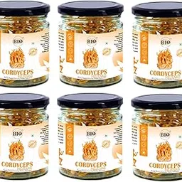 BIO Cordyceps Militaris Raw and Dried | Fruit Body Sticks | for Energy, Endurance and Immunity | 10 g |Pack of 6||New-BIO-05-Pack of 6-picture-37