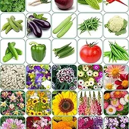 Aero Seeds 30 variety(15 flower and 15 vegetable) seeds combo pack with instruction manual.-picture-10