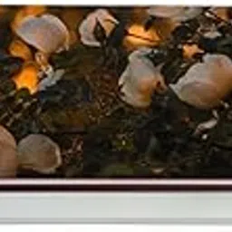 DreamKraft Floral PVC Vinyl AC Sticker (Multicolor) - Easy Peel & Stick Large Colorful Design for ACS & Walls -Decorative Wall Art, Housewarming Decoration and Gift Purpose (30cm x 91cm)-image-8