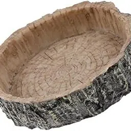 VELURA 2xReptile Food and Water Dish Mini Corner Feeding Bowl Reptile Supplies Type 21 Piece Reptile Food and Water Dish2 PackReptile Supplies Reptile SuppliesPet Supplies-image-3