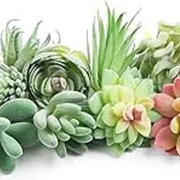 HASTHIP® 12Pcs Artificial Succulent Plants, Artificial Flowers Garden Decoration Items, Fake Textured Succulent for Indoor Outdoor Floral Arrangement Home Decor and DIY Landscape Decorations-picture-22