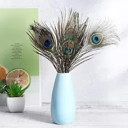 ASTRELLA Pack of 15 Decorative Feathers (30 cm Peacock Feather)-picture-13