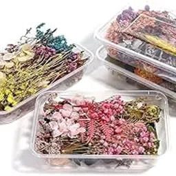 SNOOGG Assorted Real Dry Flowers Pack for Resin Art, Moisture-Less Flower Fillings for Epoxy Molds, DIY Crafts, Jewelry Making, Coasters, Pendants, Home Decor Accessories (5) image 1