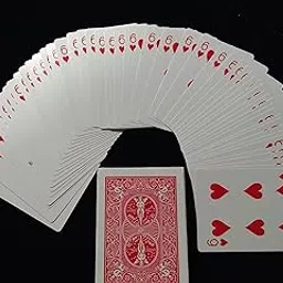 one way force deck indian (bicycle)- Multi color-picture-12