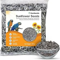 Gachwala Sunflower Seeds (900gm) - Bird Food Contains Vitamins and Minerals for Optimal Feathers,Health - 100% Natural Food for Parrots, Budgies, Conures, Cockatiels, African Grey, Macaws & More-picture-42