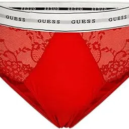 guess Polymide Self Design Red Belle Brief-picture-24