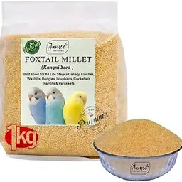 Jamee Premium Foxtail Millet (Kangni Seeds) | Bird Food | Birds Food Feeder | Cocktail Bird Food | All Life Stages Budgies Food,Lovebirds,Canary, Finches, Parrots Birds Food for 1Kg (Pack of 1)-picture-20