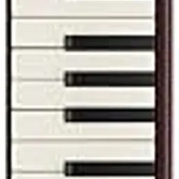 Yamaha P-37EBK Adult Pianica 37 Keys Black with Red Stitching Accent Soft Case (browns)-picture-31