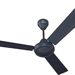 Bajaj Robusta Plus 1200MM Marathon Blue Ceiling Fan-picture-67