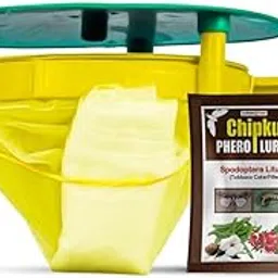Chipku- Pheromone Trap Funnel with Spodoptera Litura Lure for Catch Insect/Moth of Tobacco Caterpillar (spodo) (Spodoptera Litura) (20)-image-0