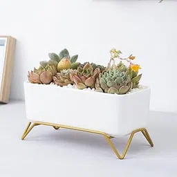 FURN ASPIRE Rectangle Ceramic Flower Pot Cactus Succulent Planter Table Desk Flower Air Plant Vase with Iron Leg Base for Home Office (Note : Plants are not Included)-picture-13