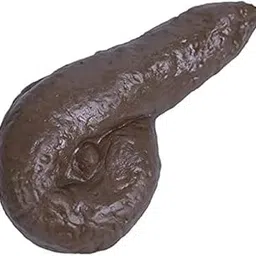 Sak Fake Potty Just For Fun To Making Fool Of Others.April Fool And Laugh(1 Poop) - 5 - 5 Years-picture-10