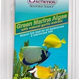 OCEAN NUTRITION (SALT CREEK) Seaweed Select Green Marine Algae 10pc-picture-20