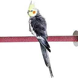 Congo® Premium 12" Safe Chew Bird Sandy Sand Perch for Grinding Nail for Budgies, Lovebirds, Cockatiels, Conure and Other Small Birds-picture-34