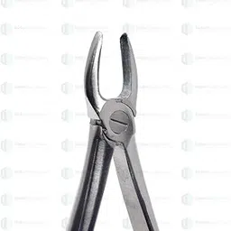IS IndoSurgicals Upper Anteriors #1 Dental Extraction Forceps-image-45