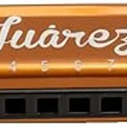 Juarez JRZ10HM/GD Key C Diatonic Blues Harmonica 10 Hole 20 Tones with Case, Mouth Organ for Beginners, Students, Kids & Professionals Gold-image-43