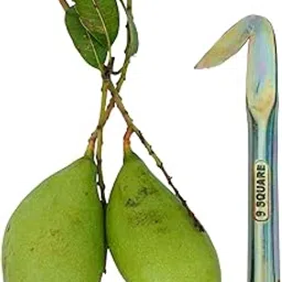 9 SQUARE Fruit Picker | Garden Leaf Picker | Thoratti Kathi | Garden Tool Hook Without Stick | Pack of 1-image-46