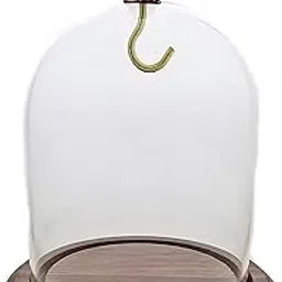 dueber watch co Pocket Watch Glass Display Dome with Hook, Real Walnut Base & wood knob-picture-13