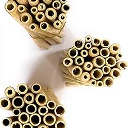 TUGS Bamboo Grass Straws Export Quality Pack of 50 Natural Eco Friendly Biodegradable Drinking Straws with Straw Cleaning Brush -Reusable. Length 10 Inch (7-12) mm-image-5