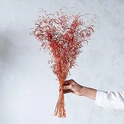 Flowers and Fillers || Orange Tiger Grass (100 Grams) |Natural Dried Flower | Eco-Friendly Flowers for Home, Office, Bedroom, Table Decoration and Craft Items Corner (Without Vase Pot)-image-57