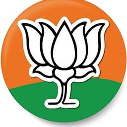 peacockride Bharatiya Janata Party I BJP I Narendra Modi I Pin Badge Multicolor-picture-35