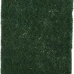 Brite Guard Heavy Duty Nylon Scrub Pad 6x9 inches (Green, 10 Pcs Pack) image 1