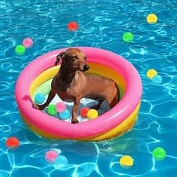 FEDDE 2 Ft Swimming Pool for Kids | Inflatable Sunset Glow Round Colourful Ring Baby Pool Portable Baby Bath tub-picture-22