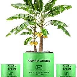 ANAND GREEN Pemium Very Big Size Grow Bags 24x24 inch | Big Pot for Outdoor Plants | Green Bags for Plants Gardening | growbags for Terrace Garden Setup | Planting Bags for Trees | Plant Bag Pack of 3-picture-27