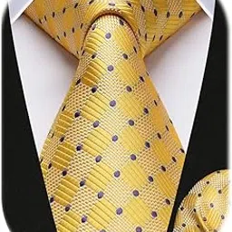hisdern Mens Ties Plaid Tie and Pocket Square Set Classic Woven Formal Checkered Neckties & Handkerchief Wedding Party-picture-21